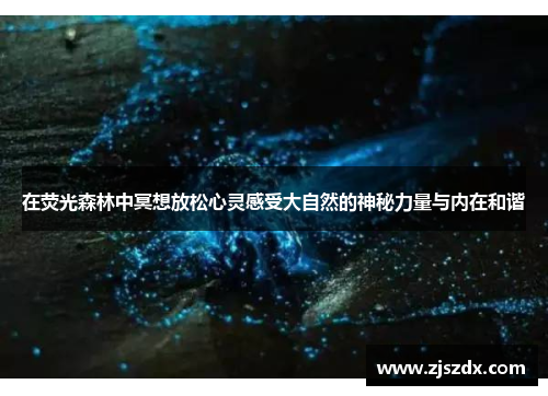 在荧光森林中冥想放松心灵感受大自然的神秘力量与内在和谐