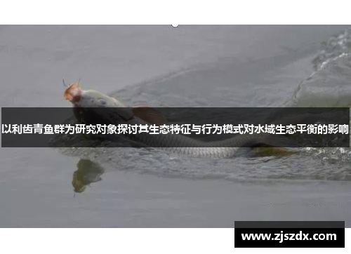 以利齿青鱼群为研究对象探讨其生态特征与行为模式对水域生态平衡的影响 以利齿青鱼群为研究对象探讨其生态特征与行为模式对水域生态平衡的影响