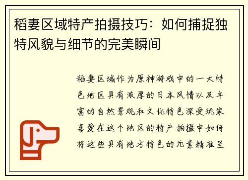 稻妻区域特产拍摄技巧：如何捕捉独特风貌与细节的完美瞬间